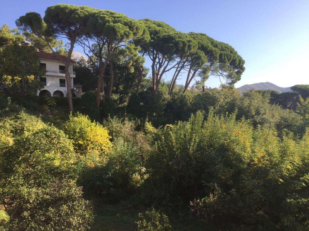 Villa Monte Boutique Apartments In Herceg Novi Exteriér fotografie