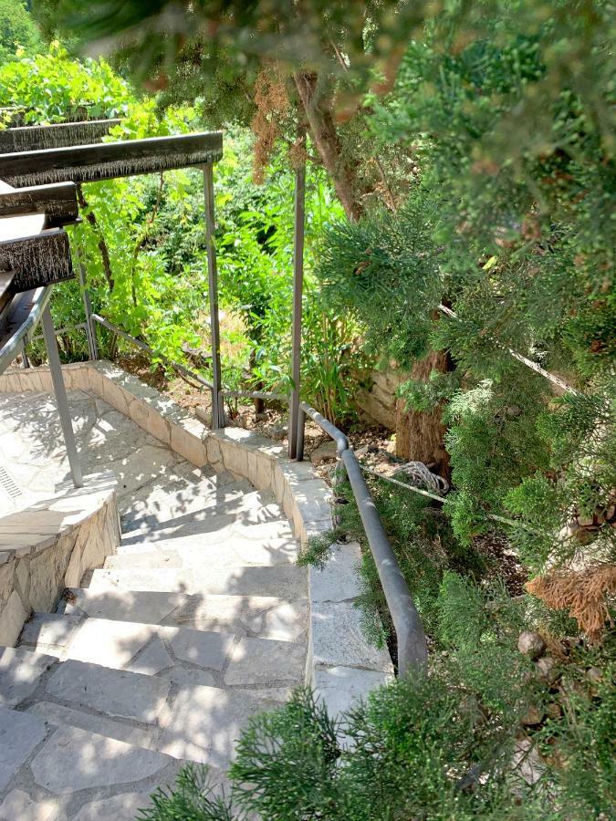 Villa Monte Boutique Apartments In Herceg Novi Exteriér fotografie